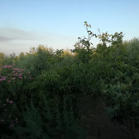 Tony & Appartamento Laganas