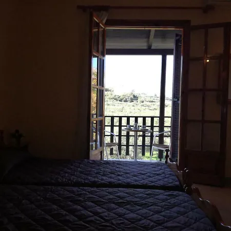 Tony & * לגאנאס