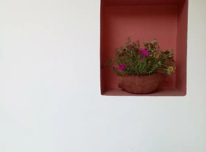 Tony & Apartamento Laganas