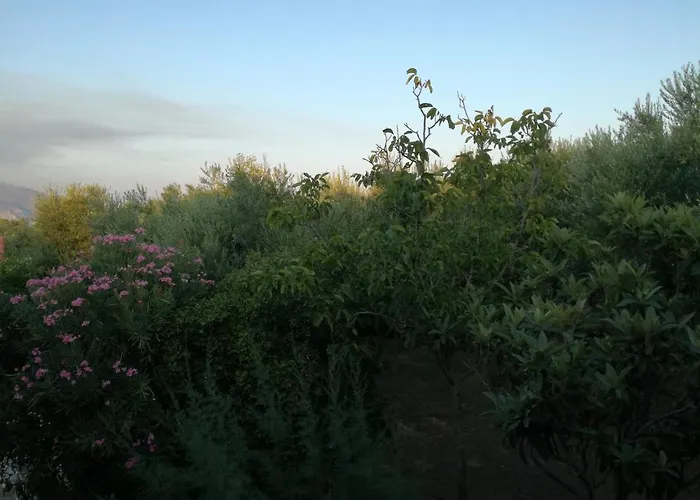 Tony & Apartamento Laganas